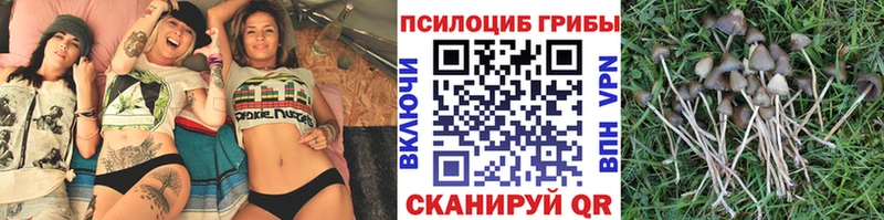 Купить  Братск  Галлюциногенные грибы мухоморы 