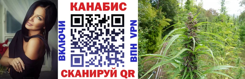 Купить где  Братск  Бошки Шишки VHQ 